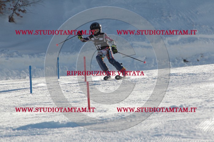MAT_3288.JPG