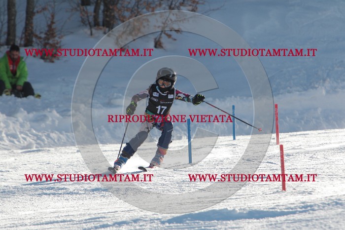MAT_3290.JPG