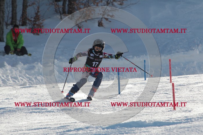 MAT_3291.JPG