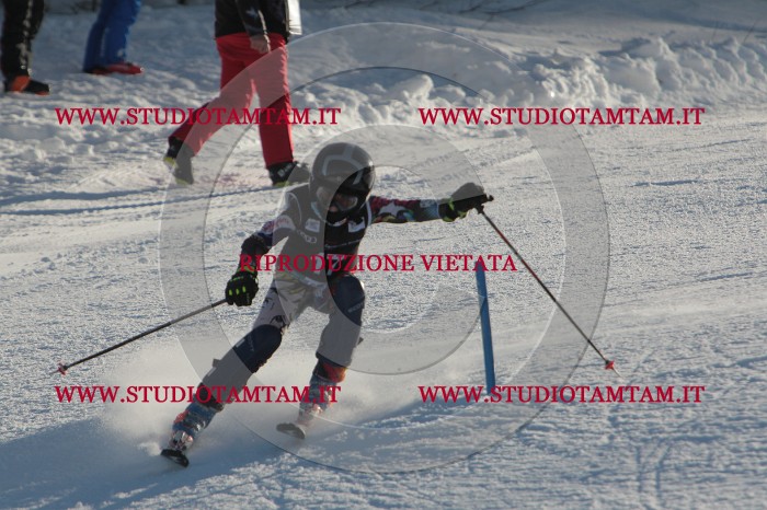 MAT_3295.JPG