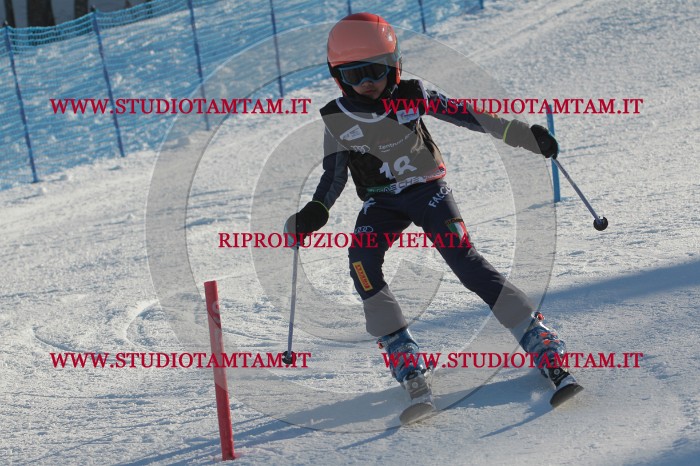 MAT_3313.JPG