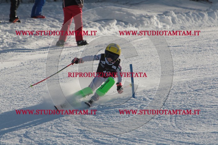 MAT_3323.JPG
