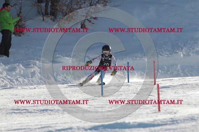MAT_3329.JPG