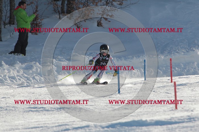 MAT_3330.JPG