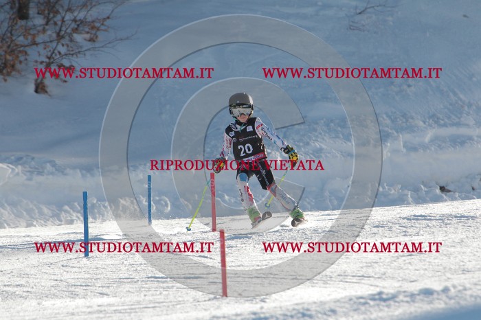 MAT_3331.JPG