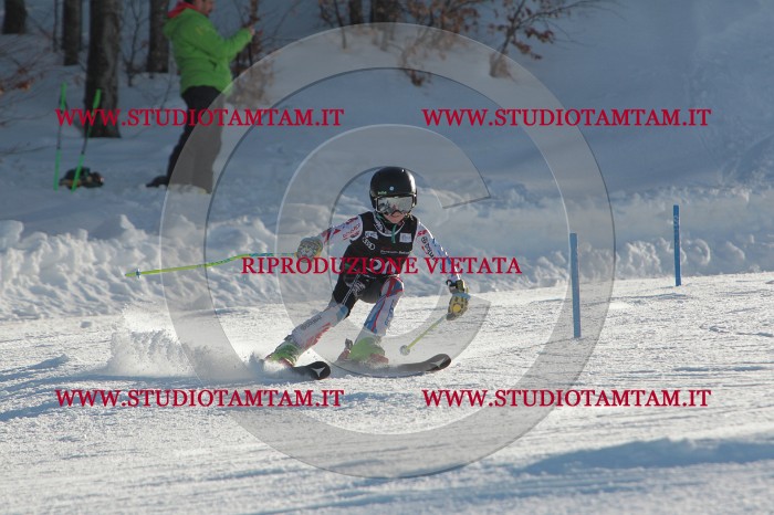 MAT_3334.JPG