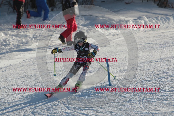MAT_3337.JPG