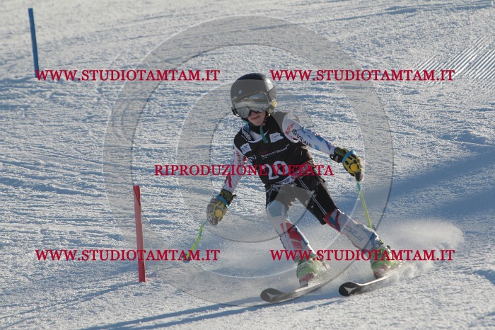 MAT_3339.JPG