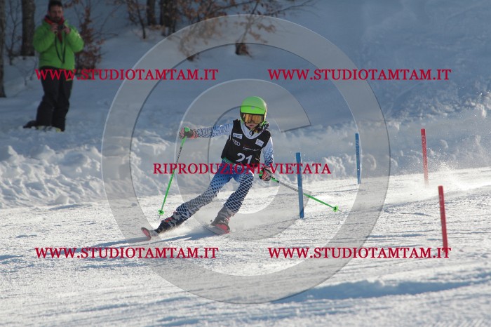 MAT_3346.JPG