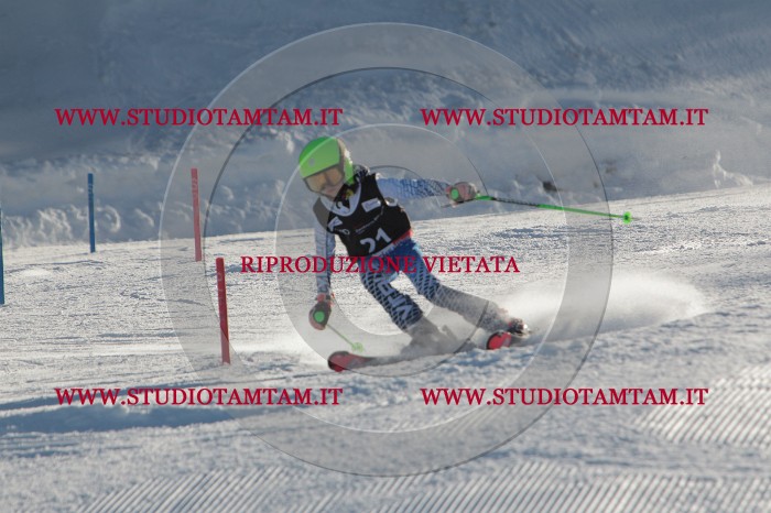 MAT_3348.JPG