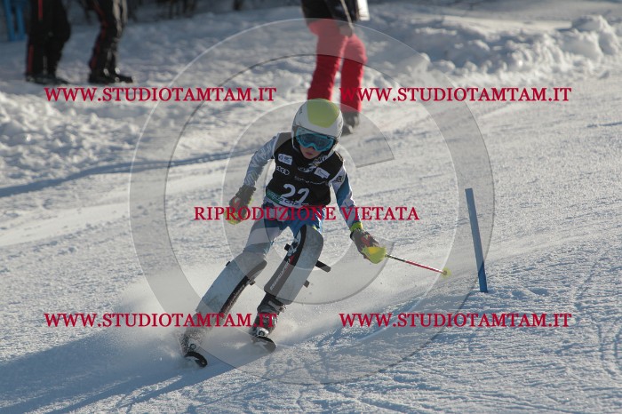 MAT_3365.JPG