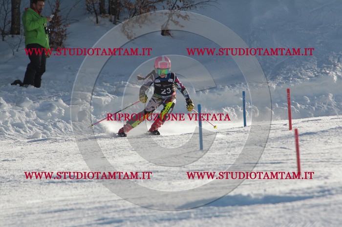 MAT_3372.JPG