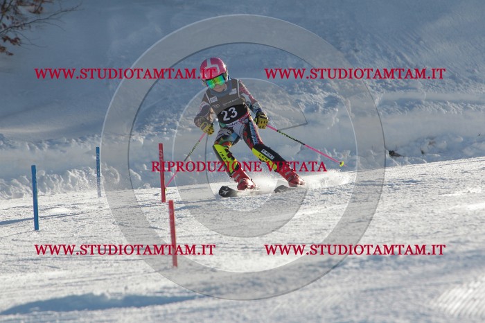 MAT_3373.JPG