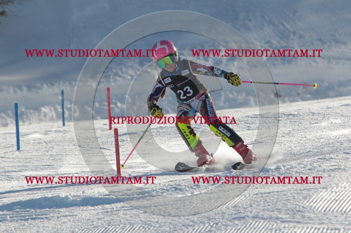 MAT_3377.JPG