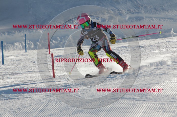 MAT_3378.JPG