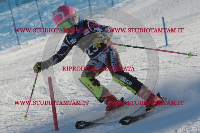 MAT_3385.JPG