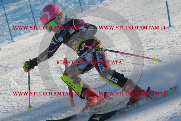 MAT_3386.JPG