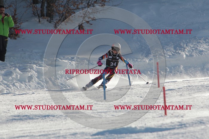 MAT_3387.JPG
