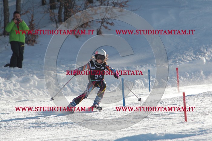 MAT_3391.JPG