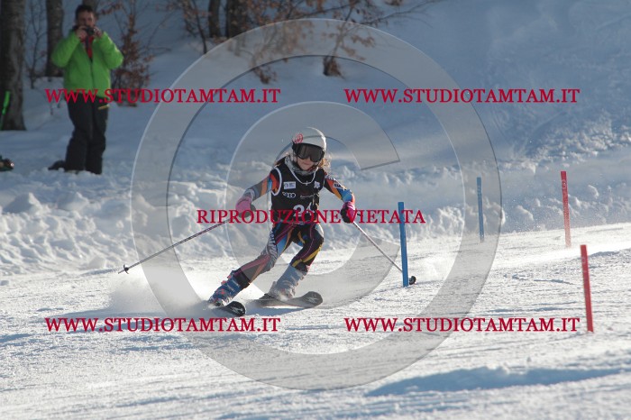 MAT_3392.JPG
