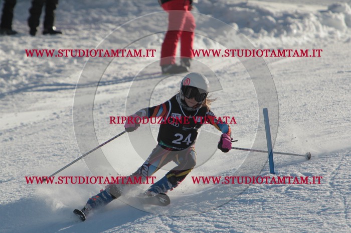 MAT_3396.JPG