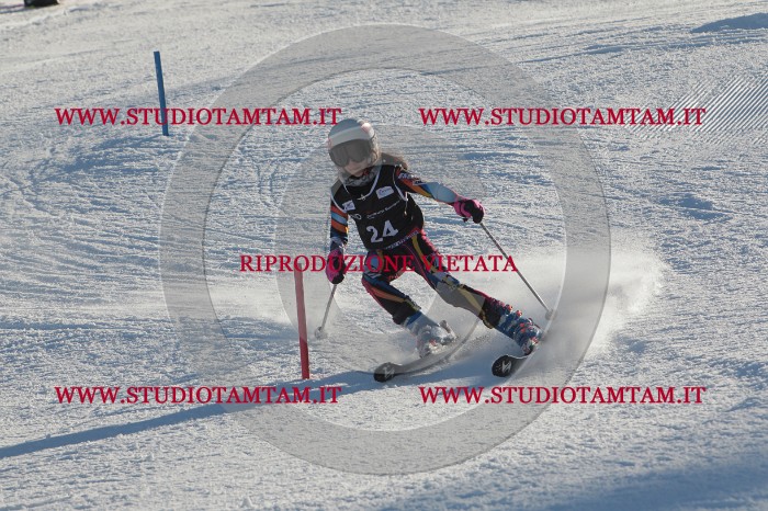 MAT_3397.JPG