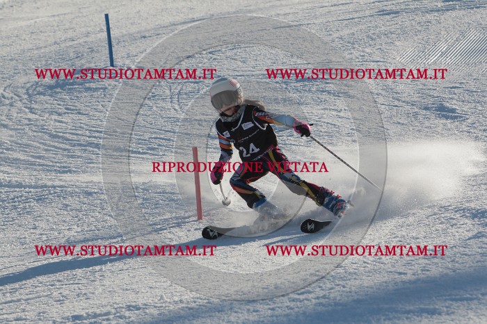 MAT_3398.JPG