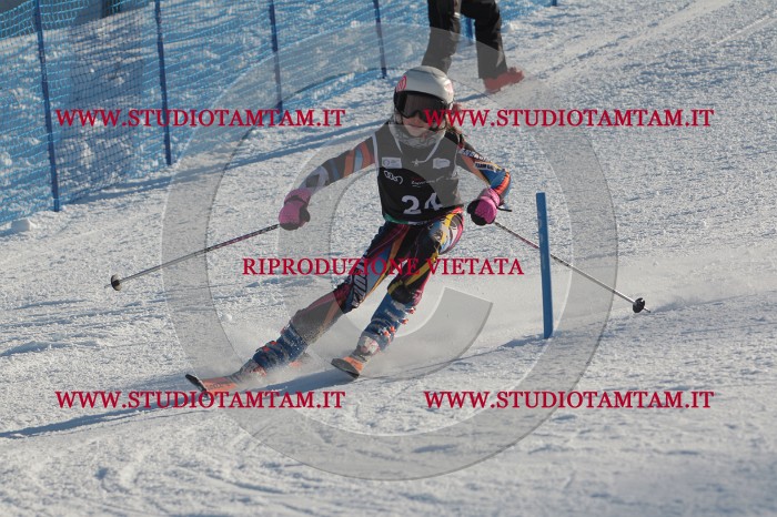 MAT_3400.JPG