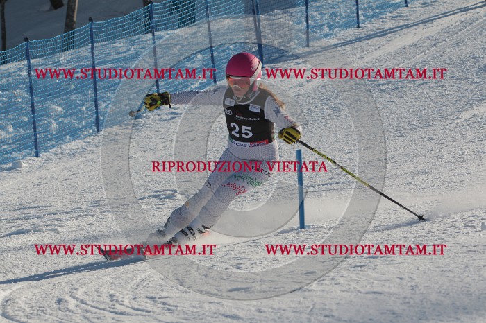 MAT_3417.JPG