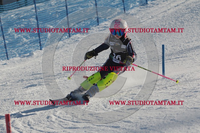 MAT_3433.JPG