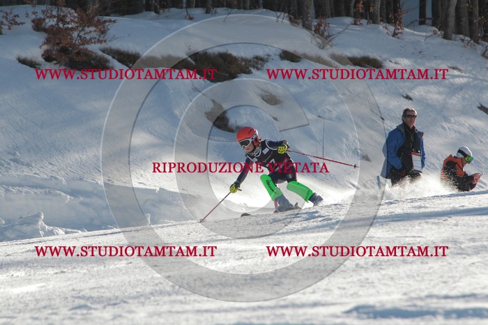 MAT_3437.JPG