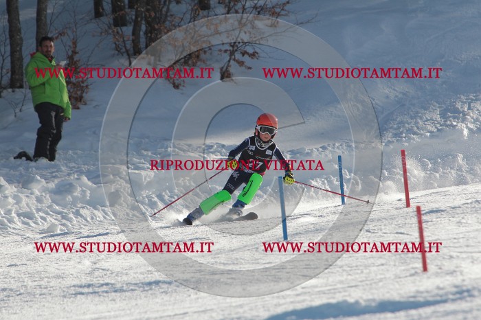 MAT_3438.JPG