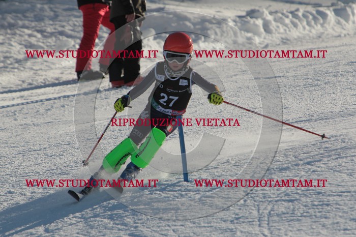 MAT_3446.JPG