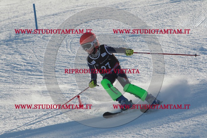 MAT_3449.JPG