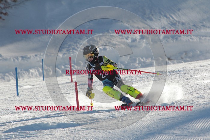 MAT_3458.JPG