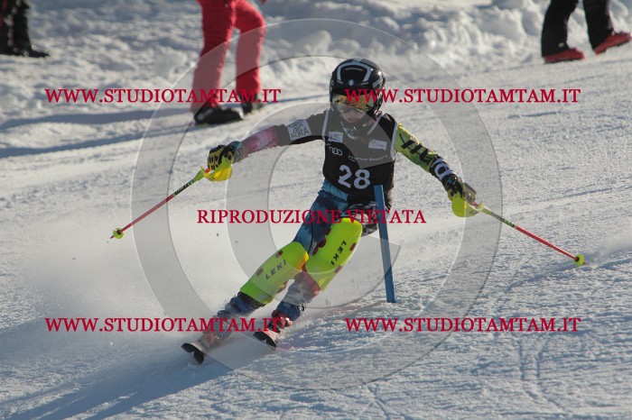 MAT_3461.JPG