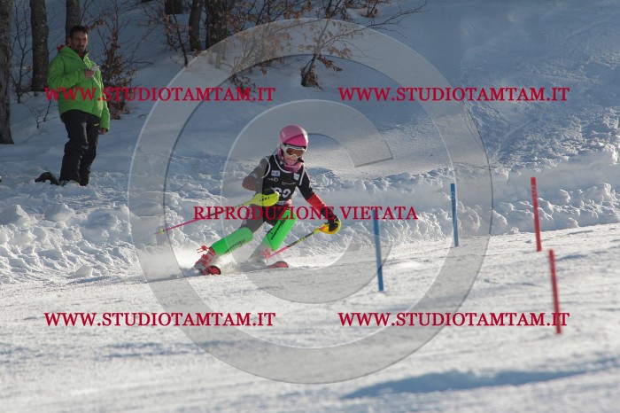 MAT_3469.JPG
