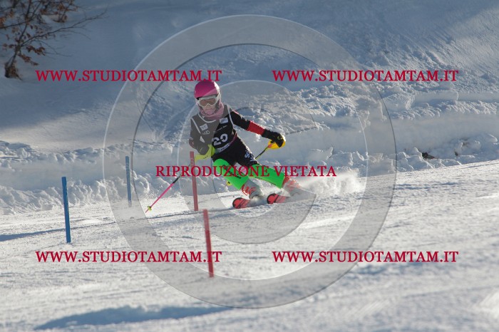 MAT_3470.JPG