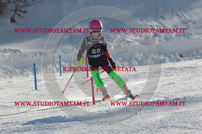 MAT_3474.JPG