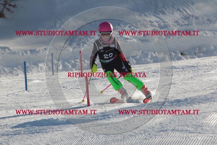 MAT_3475.JPG