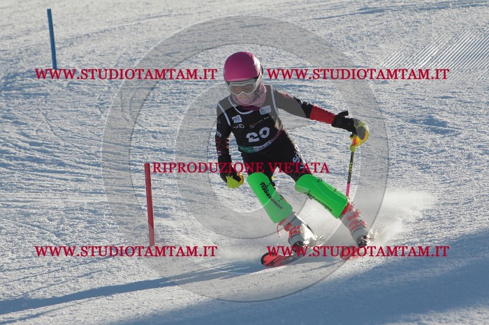 MAT_3479.JPG