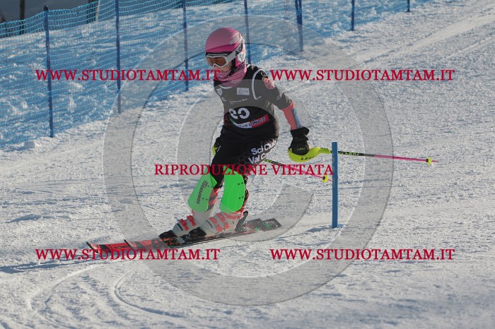 MAT_3480.JPG