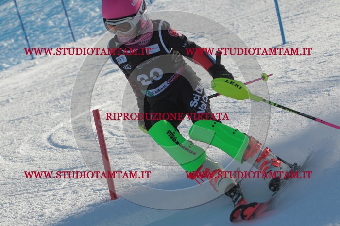MAT_3482.JPG