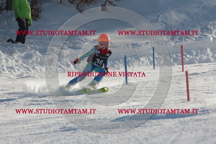 MAT_3488.JPG