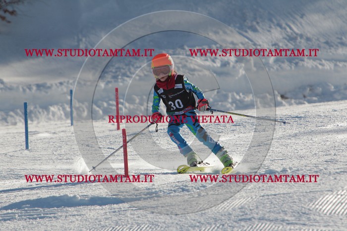 MAT_3489.JPG