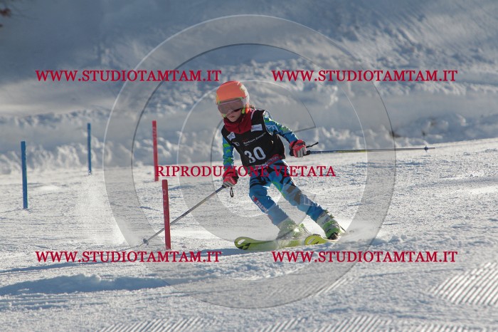 MAT_3490.JPG