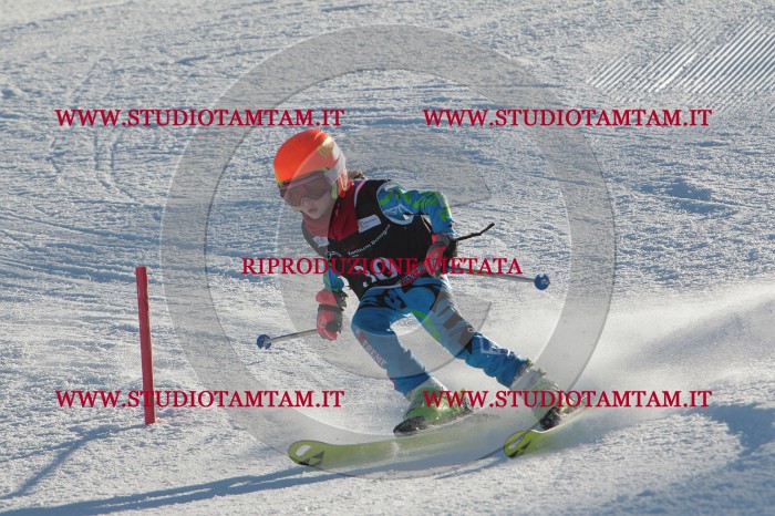 MAT_3494.JPG