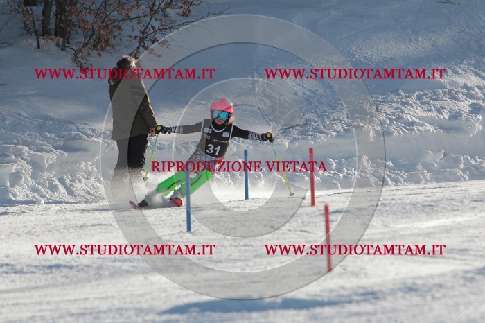 MAT_3498.JPG