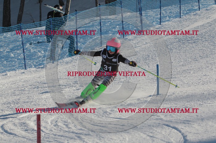 MAT_3509.JPG