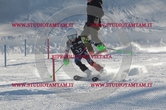 MAT_3517.JPG